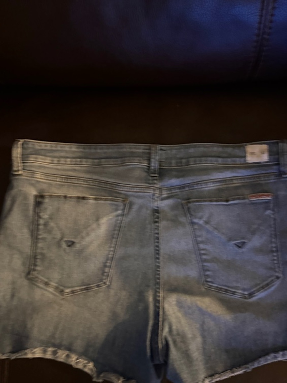 Hudson Jean Shorts Light Blue Denim Cutoff Shorts